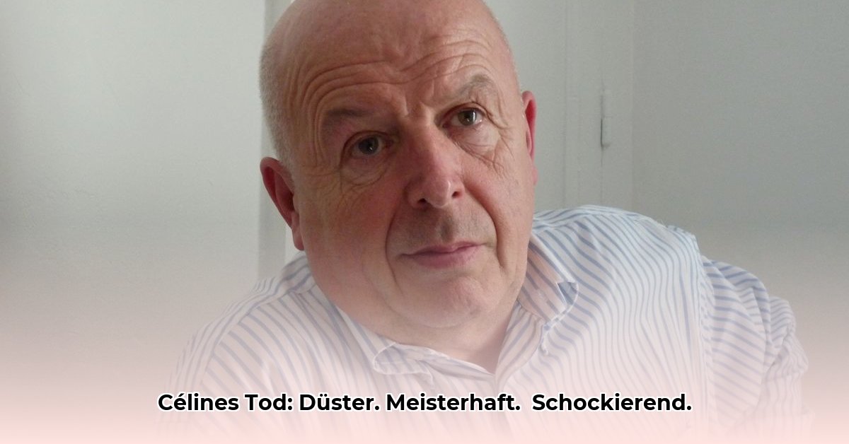 auteur-van-dood-op-krediet